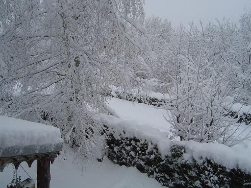 Ch&eacute;ron sous la neige.