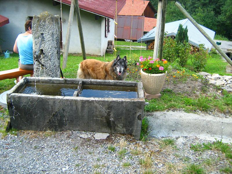 La fontaine du village