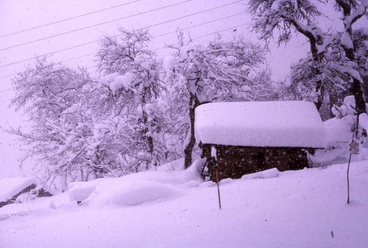 Les hivers dans les ann&eacute;es 1980.