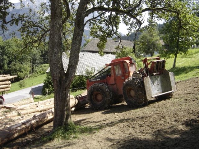 Rassemblement des bois en bordure de route.